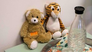 Ein Teddybär und ein Stofftiger warten darauf, kleine Passagiere zu trösten